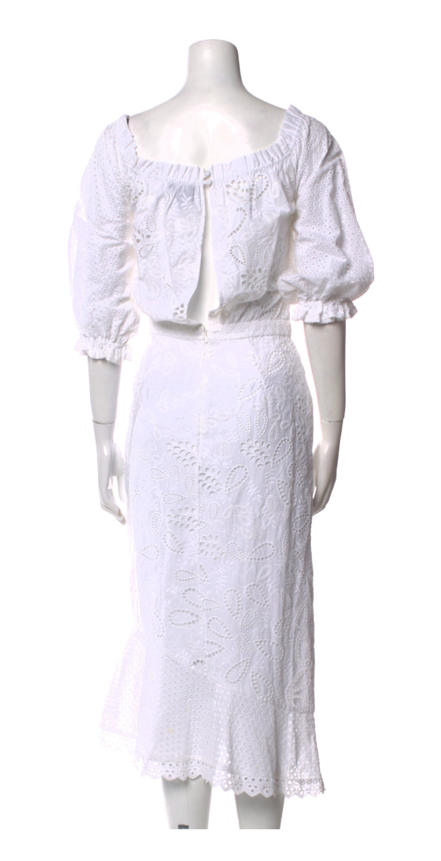 Back view of Saloni eyelet midi dress with zip closure.